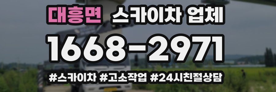대흥면 스카이차 업체