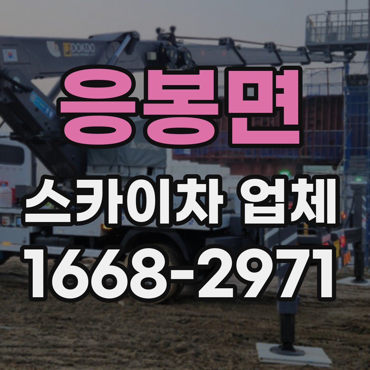 응봉면 스카이차 업체
