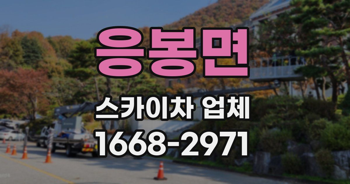 응봉면 스카이차 업체