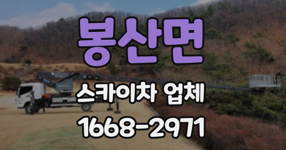 봉산면 스카이차 업체