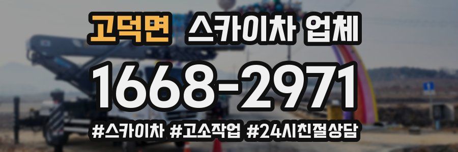 고덕면 스카이차 업체
