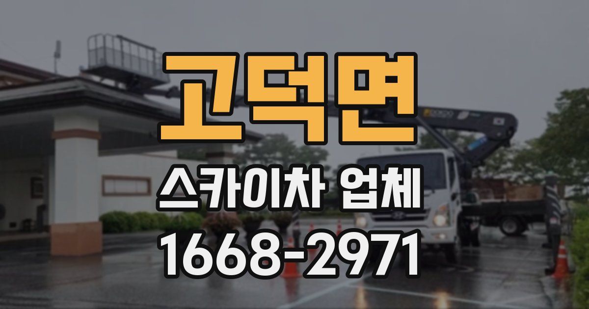고덕면 스카이차 업체