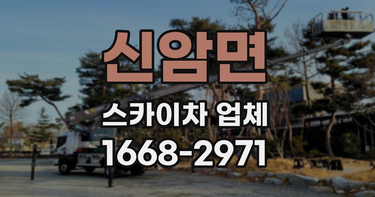 신암면 스카이차 업체