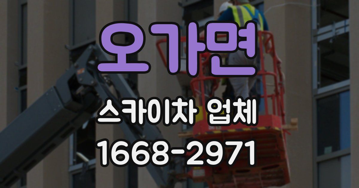 오가면 스카이차 업체