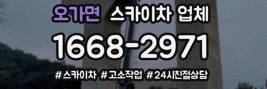 오가면 스카이차 업체