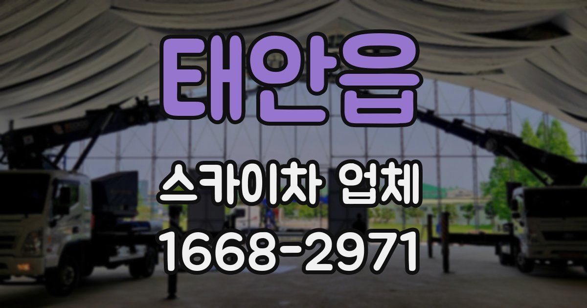 태안읍 스카이차 업체