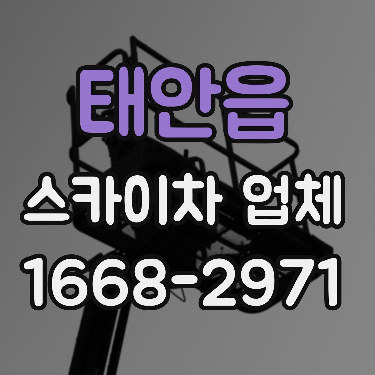 태안읍 스카이차 업체