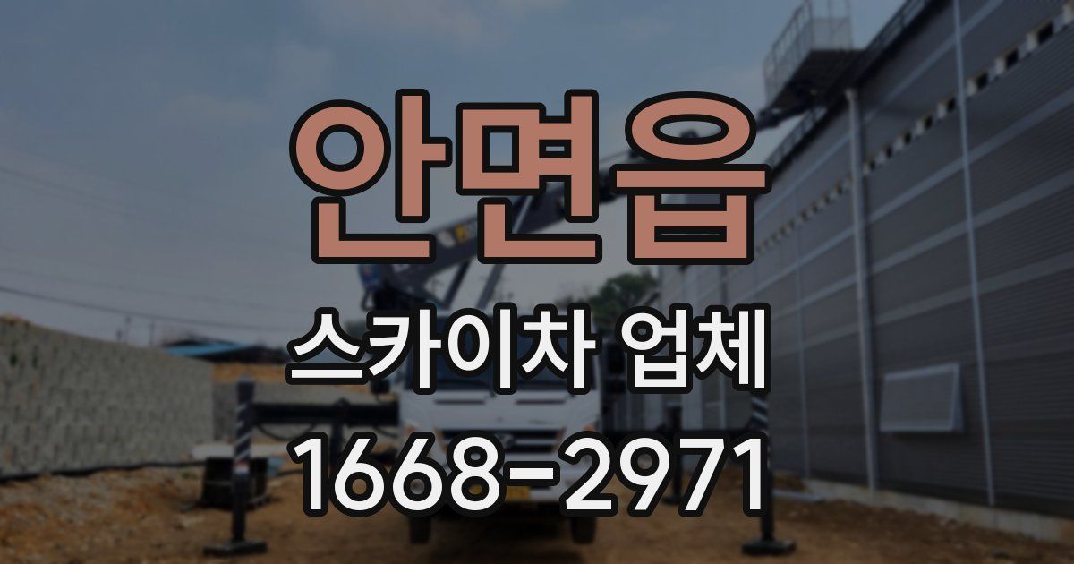 안면읍 스카이차 업체