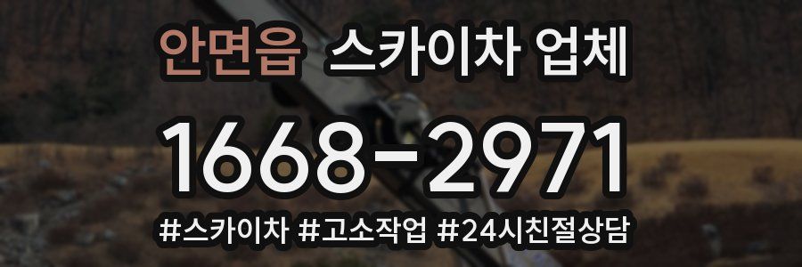 안면읍 스카이차 업체
