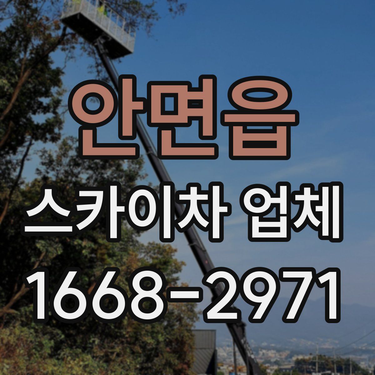 안면읍 스카이차 업체