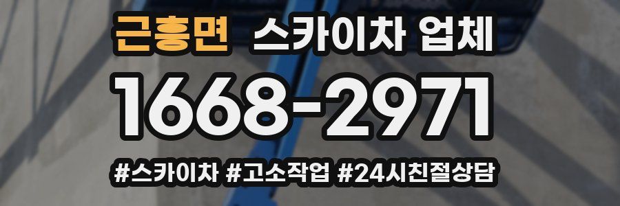 근흥면 스카이차 업체