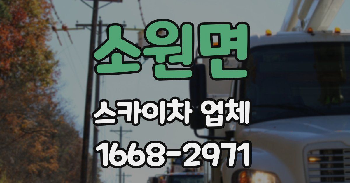 소원면 스카이차 업체
