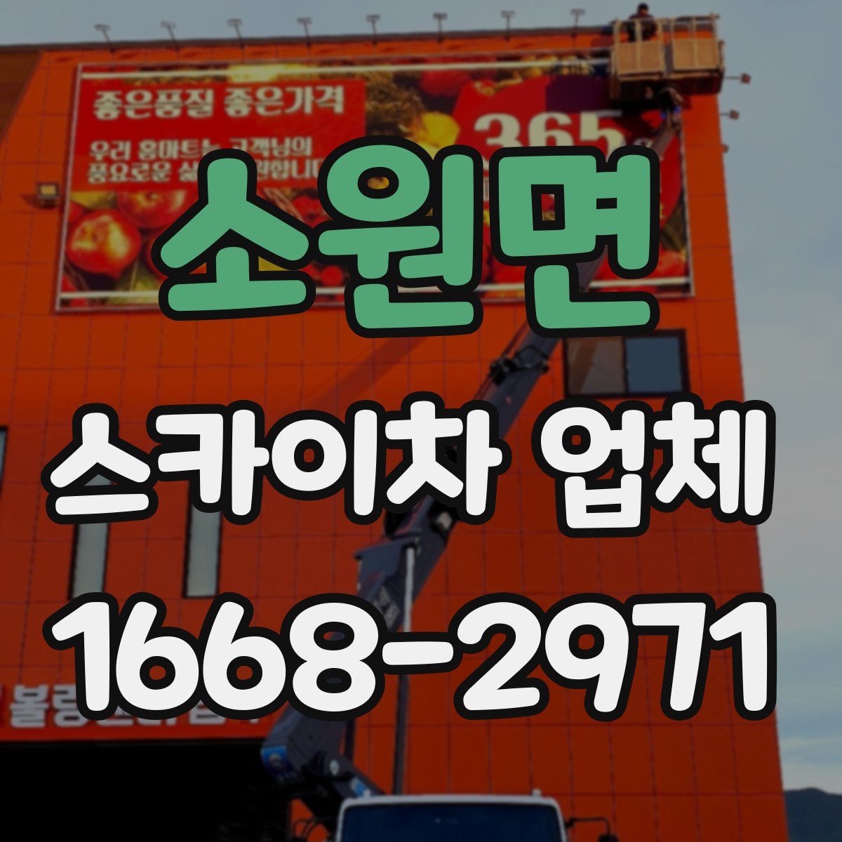 소원면 스카이차 업체