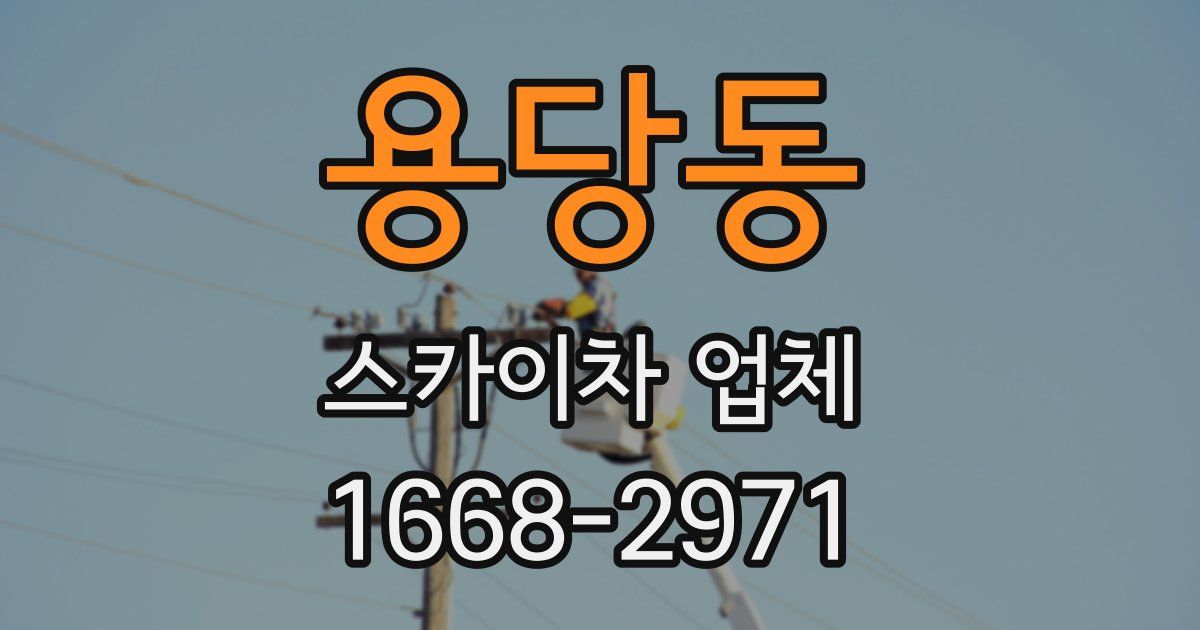 용당동 스카이차 업체