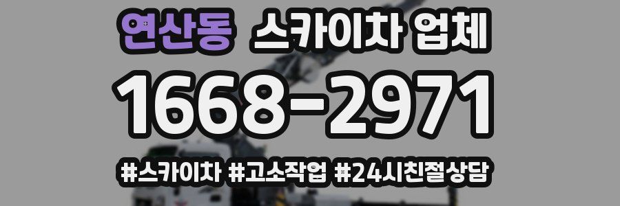 연산동 스카이차 업체