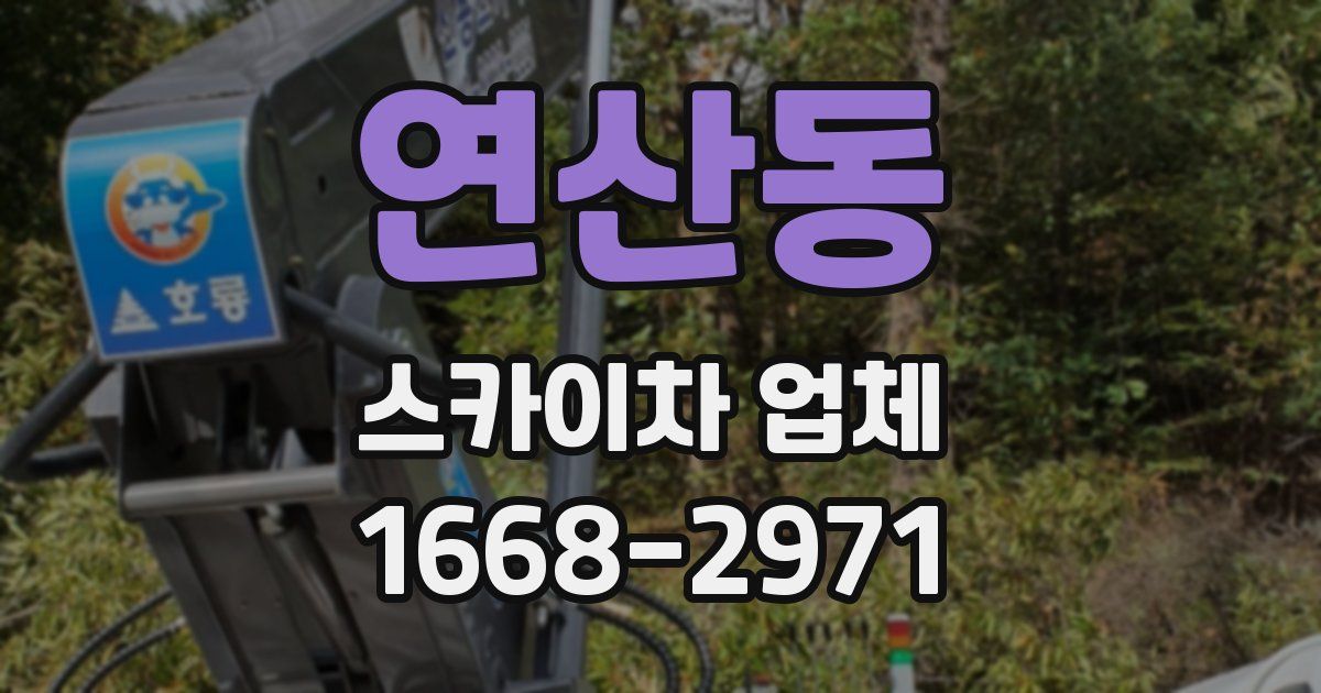 연산동 스카이차 업체