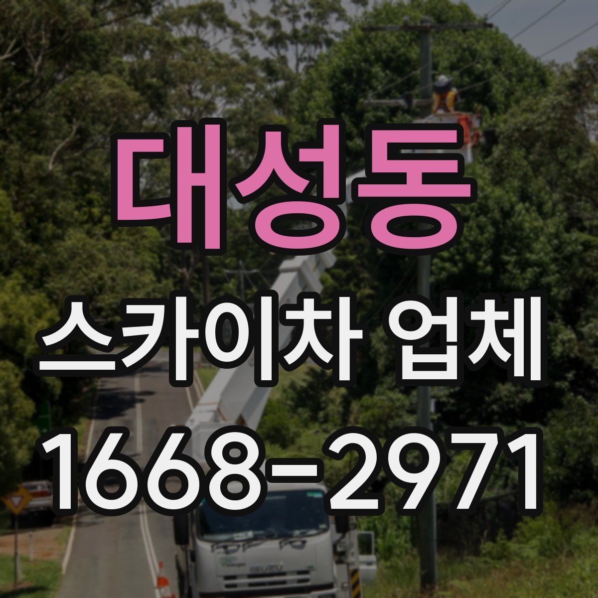 대성동 스카이차 업체