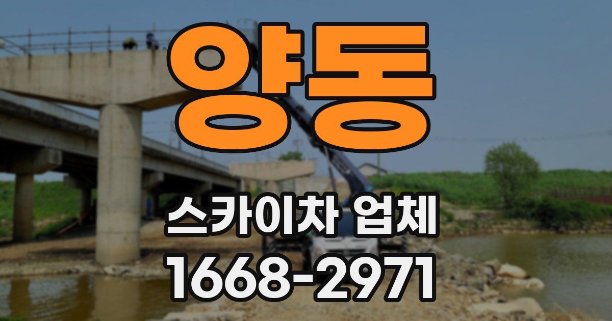 양동 스카이차 업체