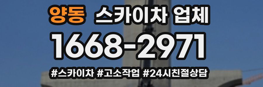 양동 스카이차 업체