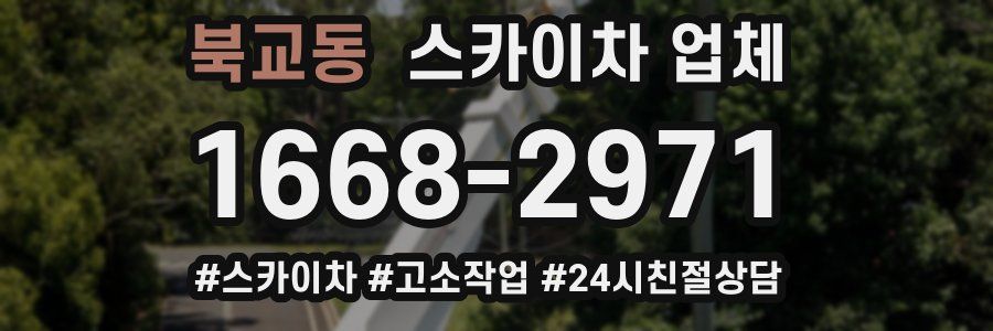 북교동 스카이차 업체