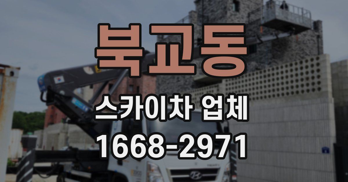 북교동 스카이차 업체