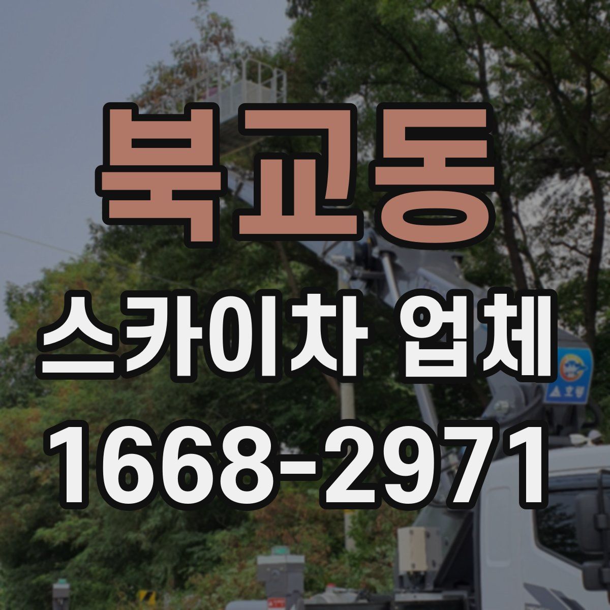 북교동 스카이차 업체