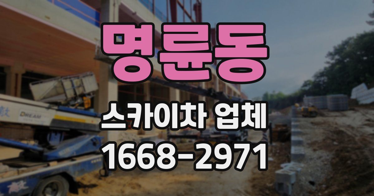 명륜동 스카이차 업체