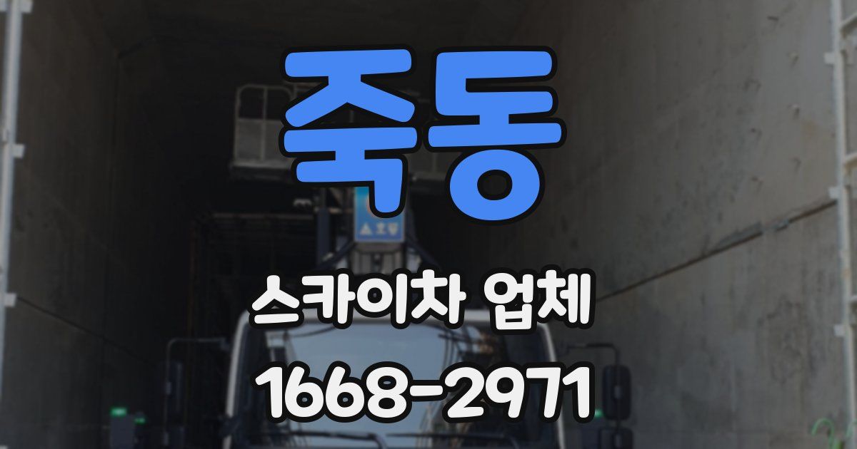 죽동 스카이차 업체