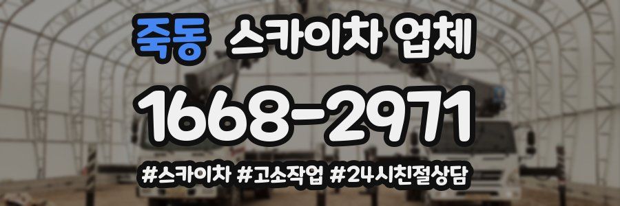죽동 스카이차 업체