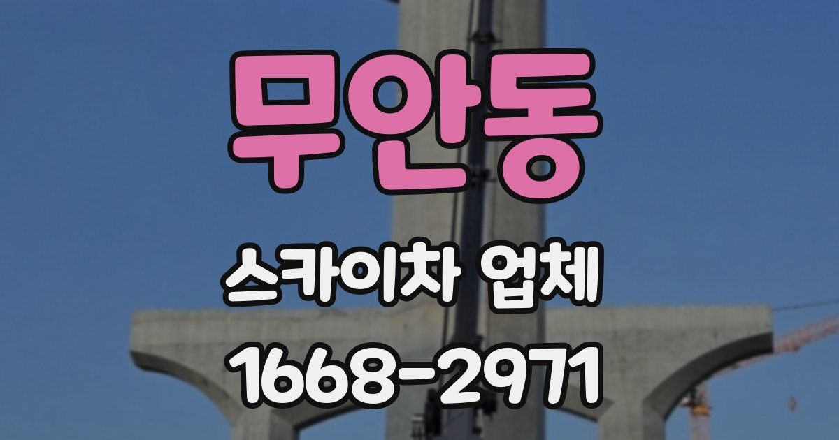 무안동 스카이차 업체