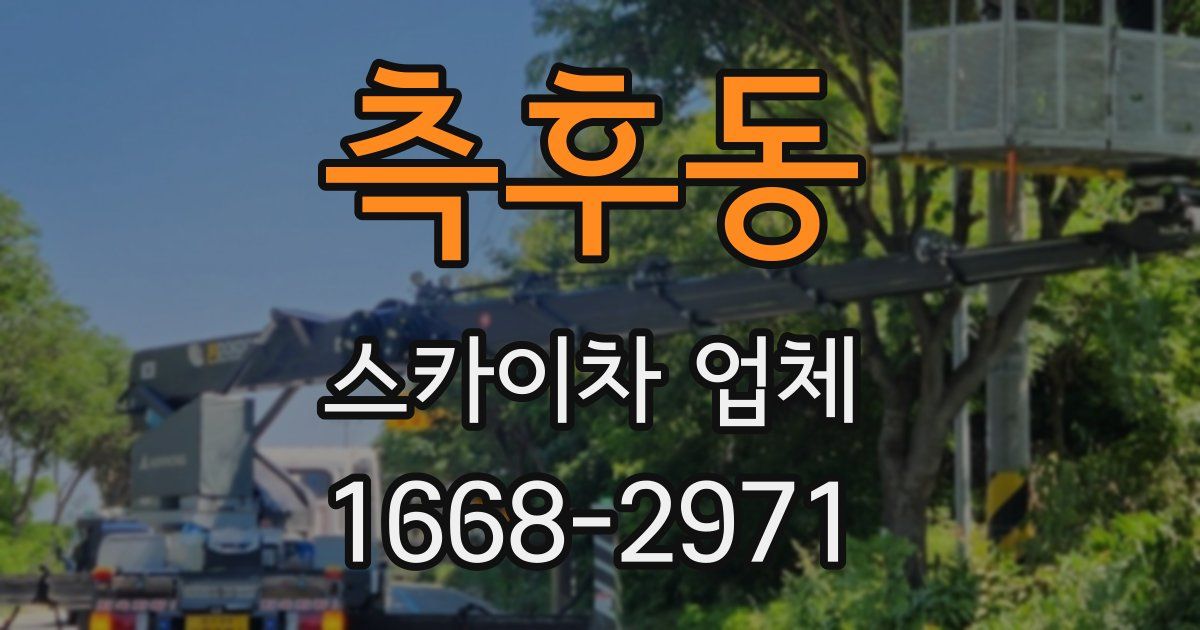 측후동 스카이차 업체