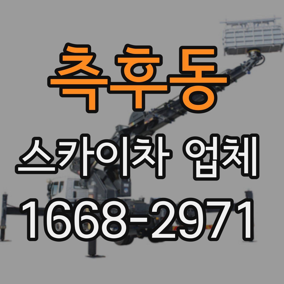 측후동 스카이차 업체