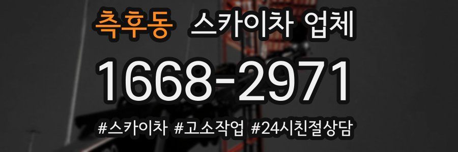 측후동 스카이차 업체