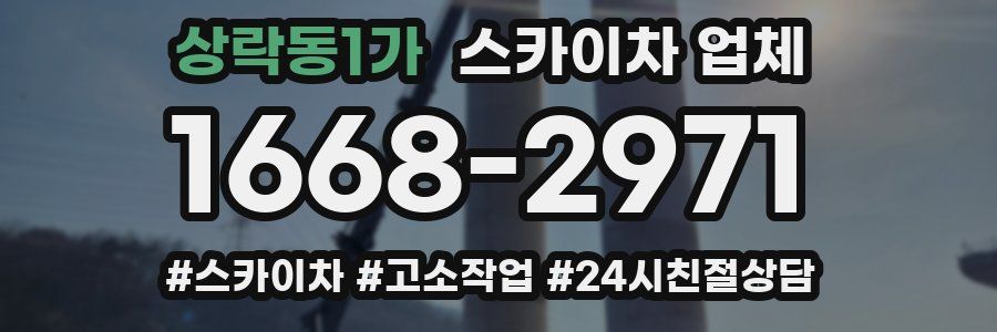 상락동1가 스카이차 업체
