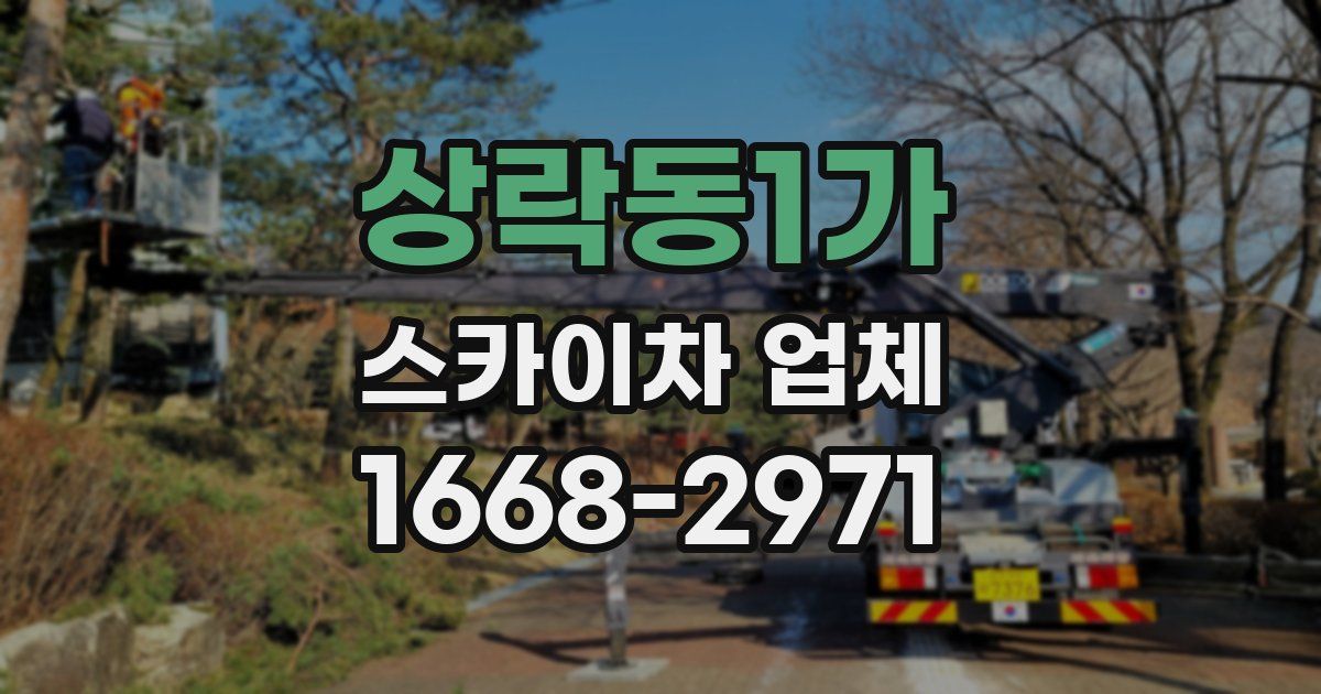 상락동1가 스카이차 업체