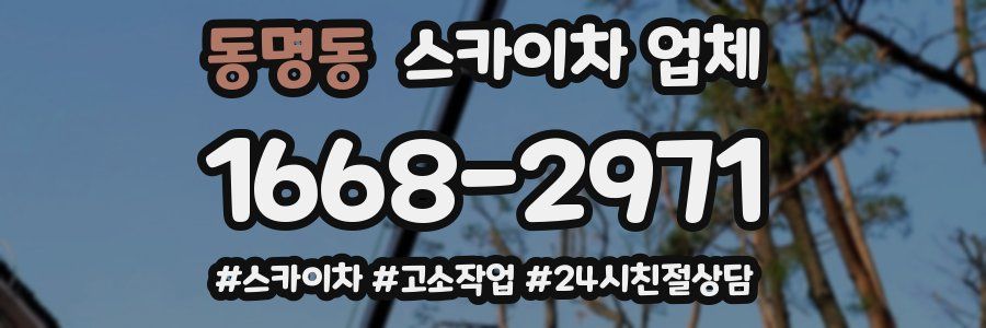 동명동 스카이차 업체