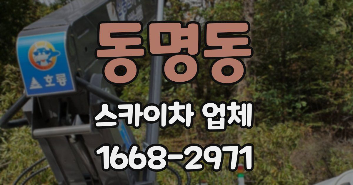 동명동 스카이차 업체