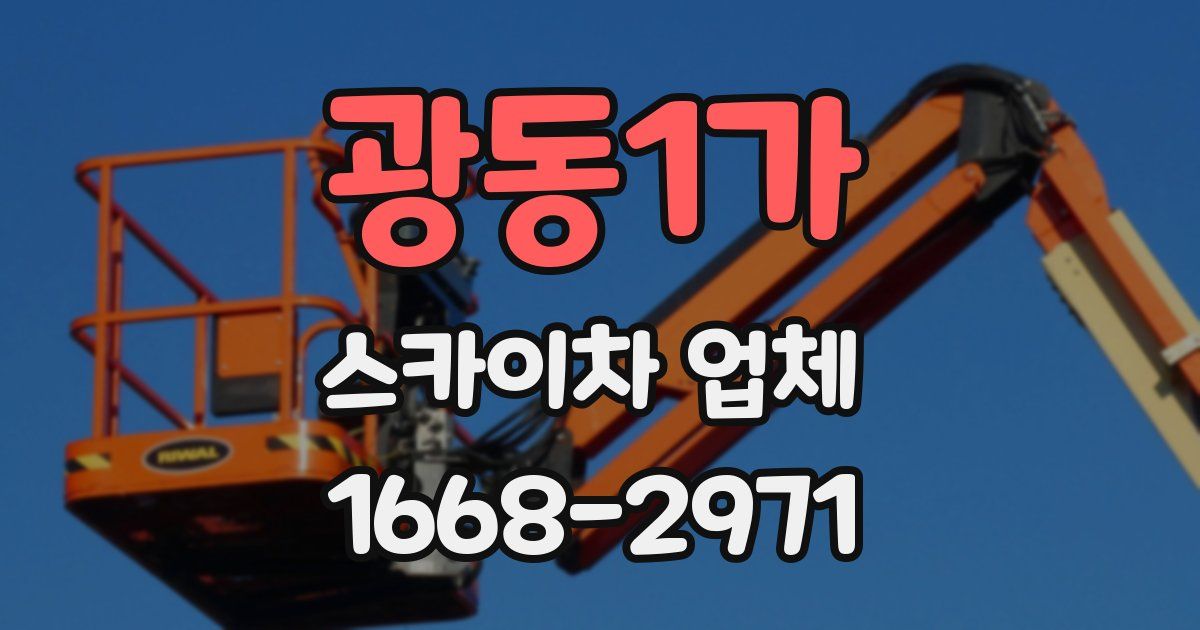 광동1가 스카이차 업체