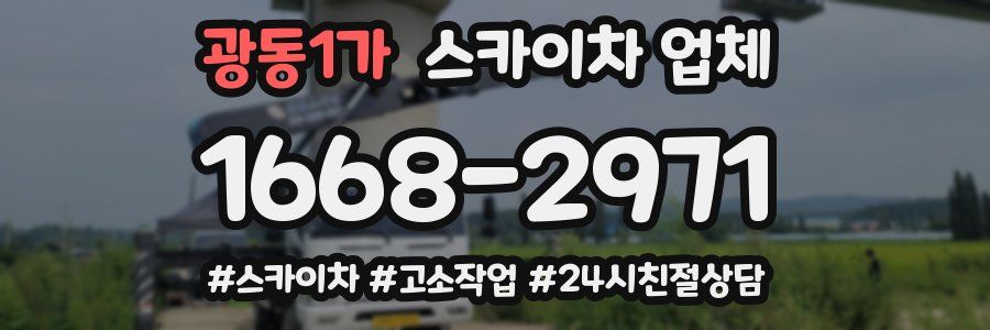 광동1가 스카이차 업체