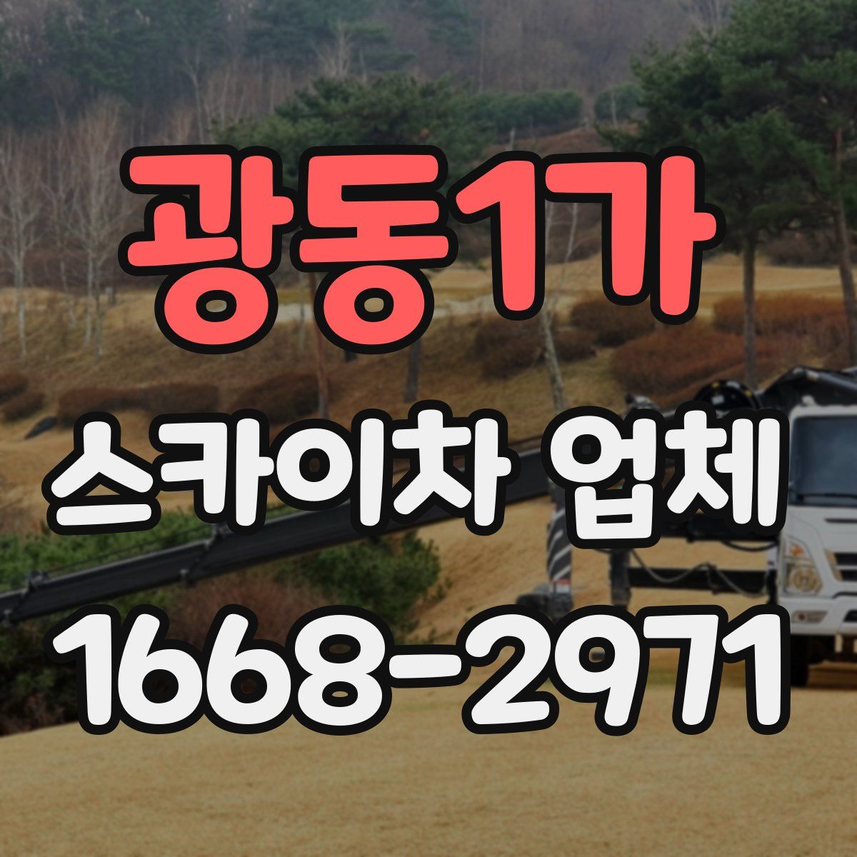 광동1가 스카이차 업체