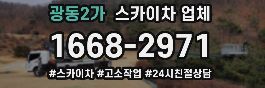 광동2가 스카이차 업체