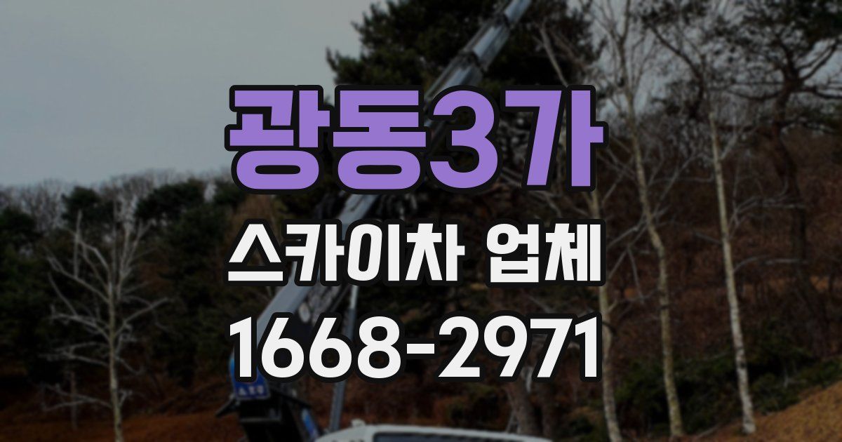 광동3가 스카이차 업체