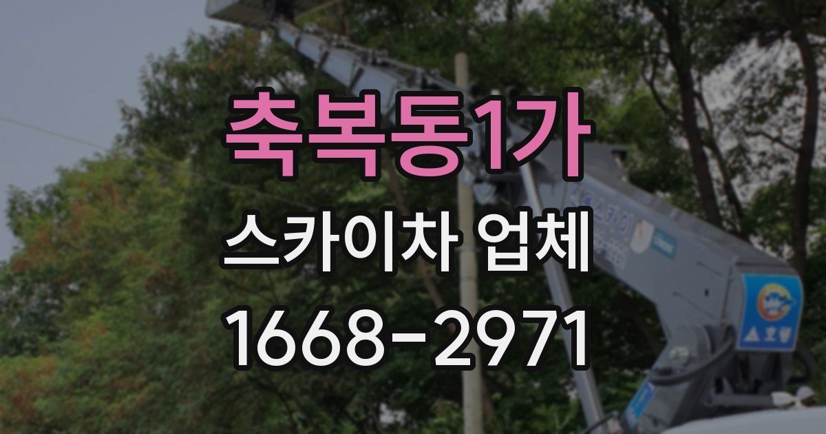 축복동1가 스카이차 업체