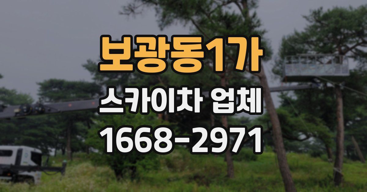 보광동1가 스카이차 업체