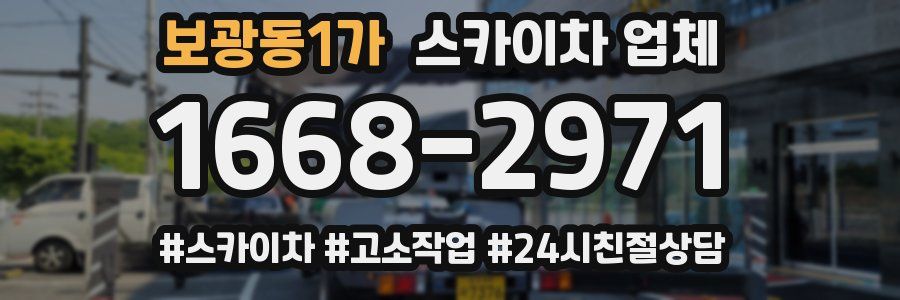 보광동1가 스카이차 업체