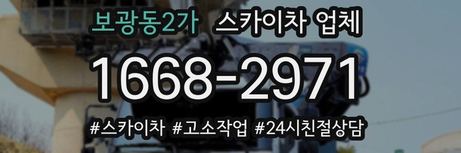 보광동2가 스카이차 업체