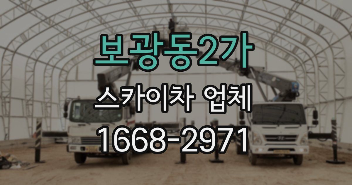 보광동2가 스카이차 업체