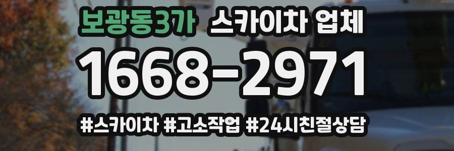 보광동3가 스카이차 업체