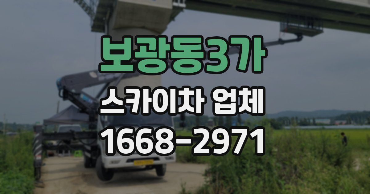 보광동3가 스카이차 업체