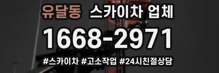 유달동 스카이차 업체